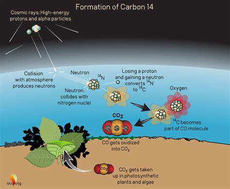 carbon dating and creationism